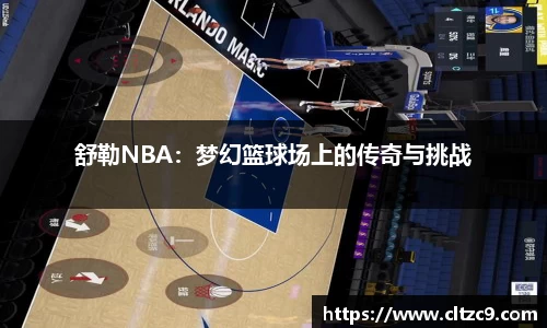 舒勒NBA：梦幻篮球场上的传奇与挑战